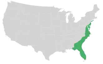 Приатлантическая низменность на контуре США