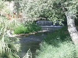 Озон в окрестностях Монтё.