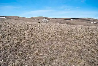 Типичный ландшафт Бабуган-яйлы