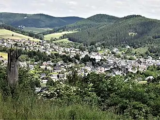 Общий вид поселения