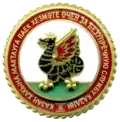 Знак отличия «За безупречную службу Казани»