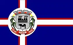 Флаг Балдина