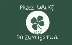 Батальоны Хлопске