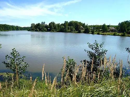 Костинская плотина на р. Мерегель (на новых картах - р. Мергель)