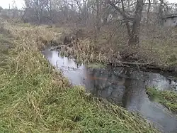 река в селе Базар