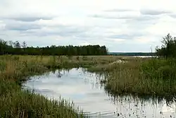 Река Дробня