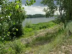 Белая в районе микрорайона Желанного