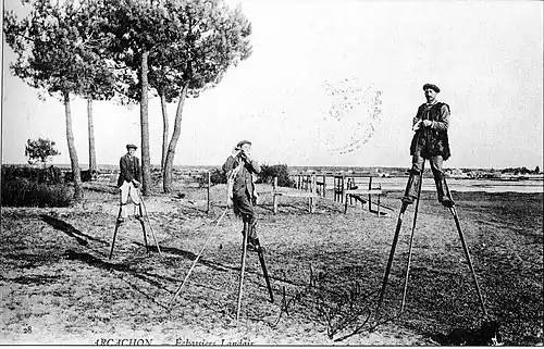 Пастухи на ходулях