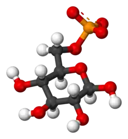 Изображение молекулярной модели
