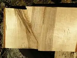 Пасынок в разрезе