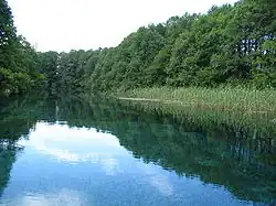 Река Черный Дрин