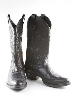 Ковбойские сапоги