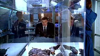 Бут наблюдает за очисткой костей.