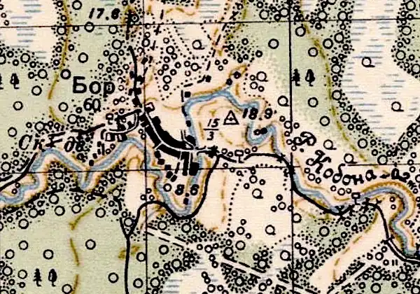 План деревни Бор. 1941 год