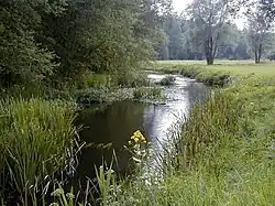 Нижнее течение Бриеде летом 2004 года.