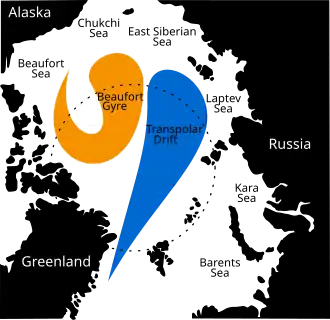 Трансарктическое течение (выделено синим)