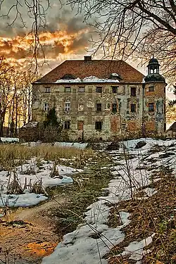 Замок в январе 2011 г.