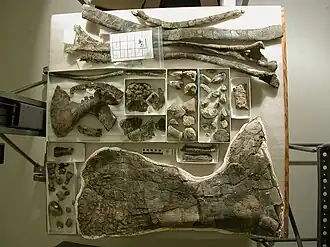 Весь известный материал