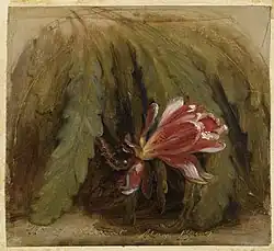 Цветущий кактус (1857)