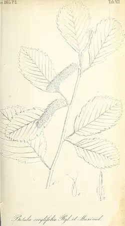 Нет доступного изображения