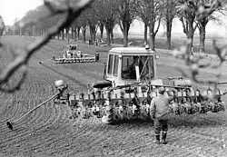 Посадка сахарной свеклы, 1989 год