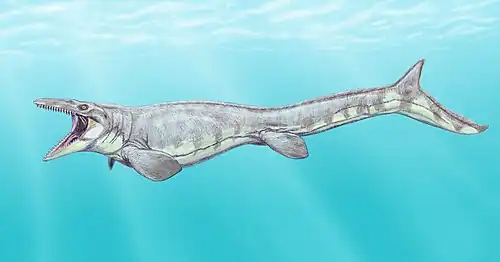 Tylosaurus proriger
