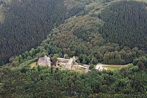 Замок и окружающий его лес