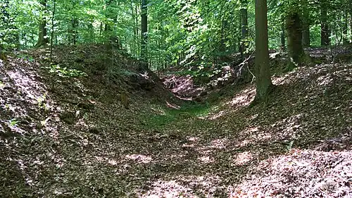 Замковый ров в восточной части комплекса