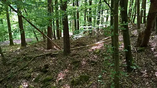 Место, где располагался замок