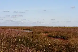 «Азово-Сиваський»