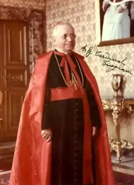 Амлето Джованни Чиконьяни