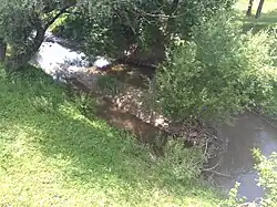 река Каменка у города Каменка