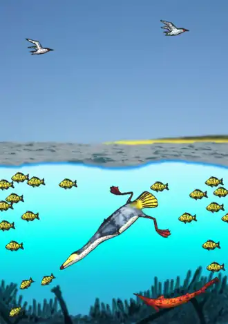 Canadaga arctica (внизу в центре)