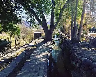 Поселковый канал Мануэль-Бенавидеса