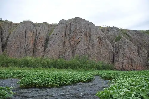 Каньонная стена