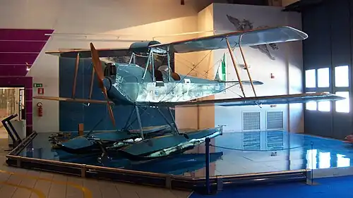 Caproni Ca.100