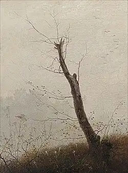 Одинокое дерево с облетевшими листьями осенью в туманный день. Государственный музей Померании, Грайфсвальд