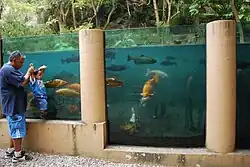 Экологический зоопарк