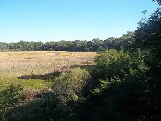 Озеро Карпинчо