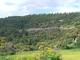 Вивер-и-Серратеш