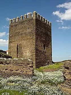 Одна из башен замка.