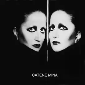 Обложка альбома Мины «Catene» (1984)