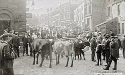 Рынок скота в Пенистоне в начале 20-го столетия