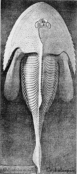 Реконструкция