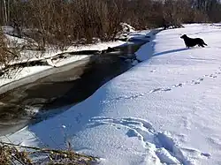 Река зимой 2009 года.