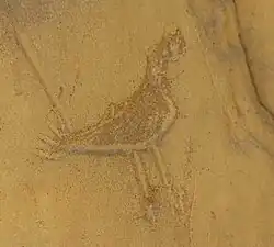 Пиктограмма Чако, Национальный исторический парк Чако, Нью-Мексико