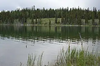 Вид на озеро летом 2014 года