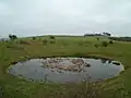 Пруд Дью на территории городища Чанктонбери-Ринг[англ.]