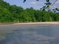 Растительность у реки в центральной части страны