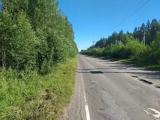 Дорога «Чаща-Кремено», идущая через массив от СНТ «Природа» до СНТ «Буденовец». Вид на север от СНТ Сокол.